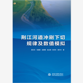 荆江河道冲刷下切规律及数值模拟
