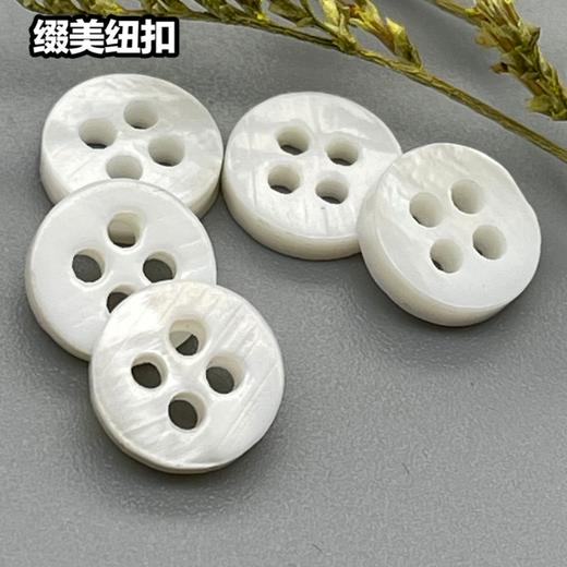 双平河贝(整包购买) 商品图7