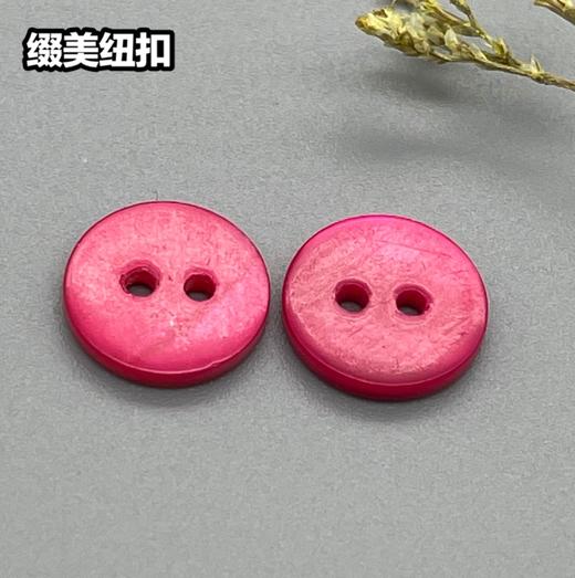 双平河贝(整包购买) 商品图2