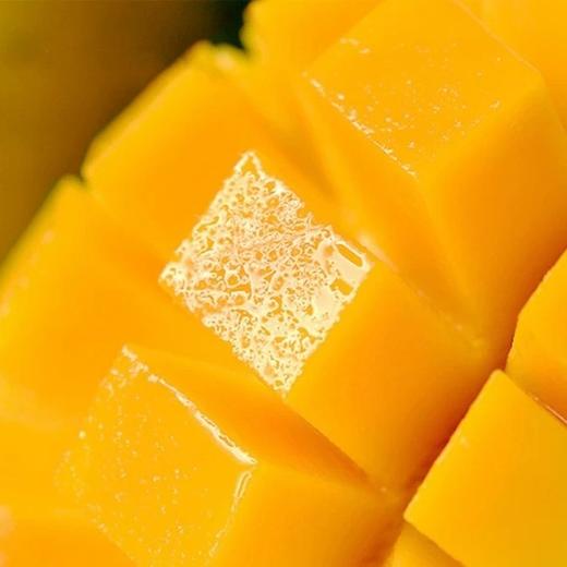 海南老树金煌芒 5/8斤装 商品图4