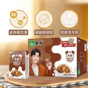 蒙牛 早餐奶 核桃味 利乐包250ml*16盒  1月生产