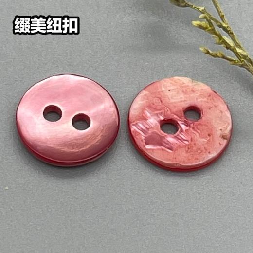 双平二眼鞠灰贝(整包购买) 商品图7