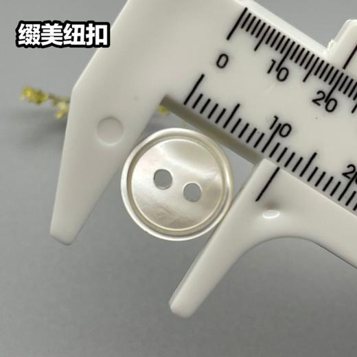 细边塔螺贝壳(整包购买) 商品图5