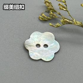 花型二眼马氏贝(整包购买)