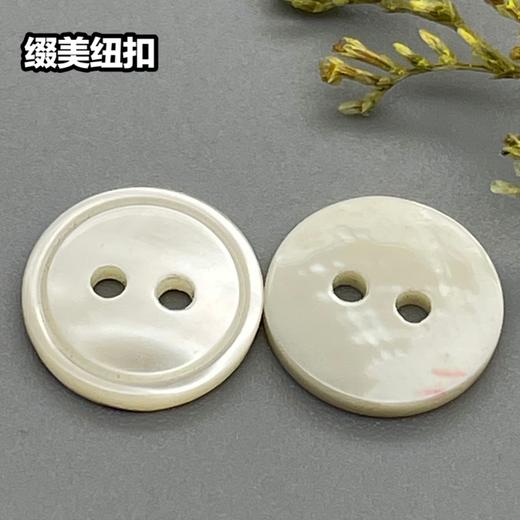 细边塔螺贝壳(整包购买) 商品图2