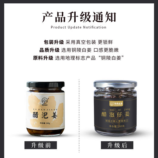 【铜陵醋泡姜•每天三片】活到90不显老 酸甜可口 商品图2