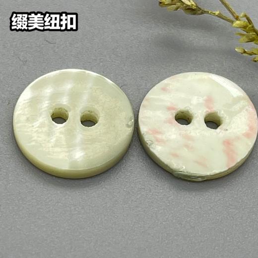 塔螺贝壳(整包购买) 商品图2