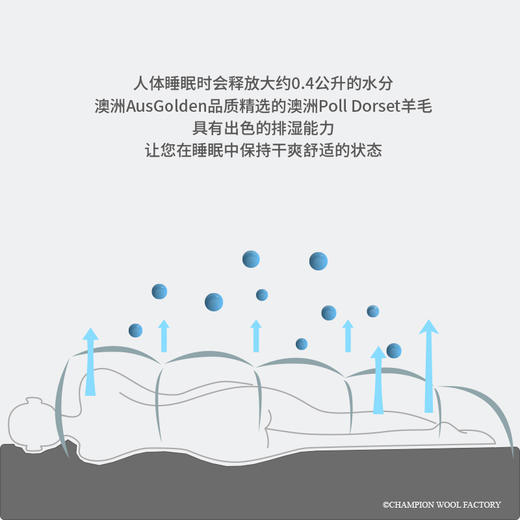 AusGoldEN澳洲制造骑士羊毛冬被 商品图3