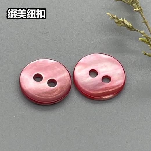 双平二眼鞠灰贝(整包购买) 商品图6