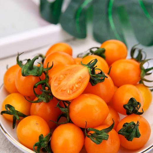 业主福利~【福建双拼小番茄】约3斤，珠珠和紫葡萄小番茄双拼，颗颗爆浆 商品图5