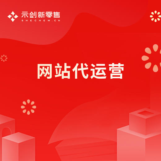 网站代运营 商品图0