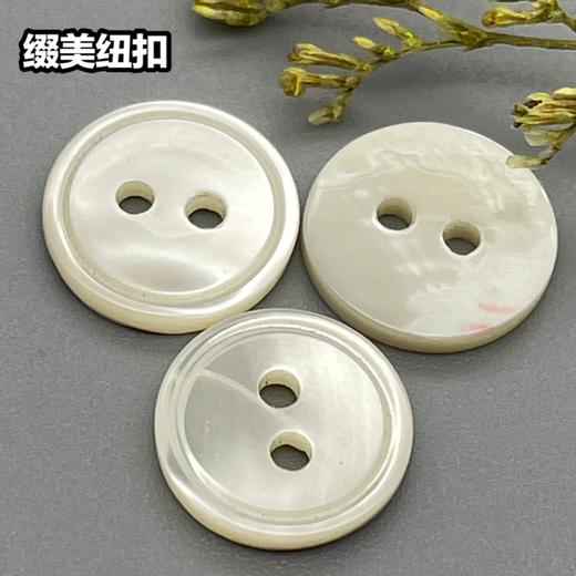 细边塔螺贝壳(整包购买) 商品图0