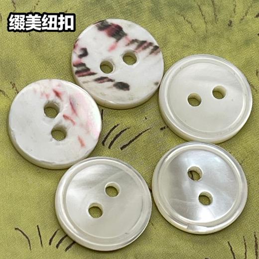 细边塔螺贝壳(整包购买) 商品图4