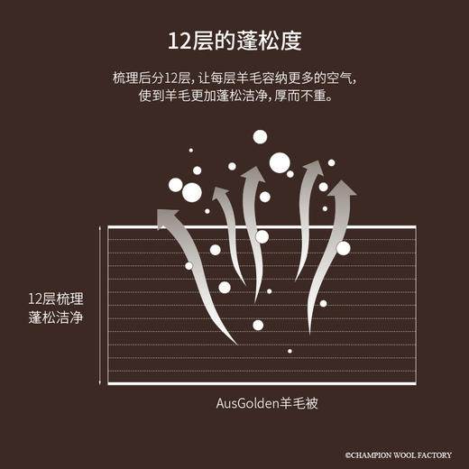 AusGoldEN澳洲制造骑士羊毛冬被 商品图2