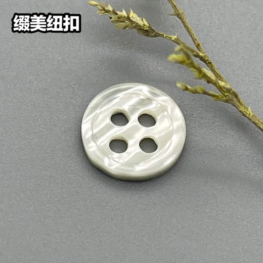 细边塔螺贝壳(整包购买) 商品图0