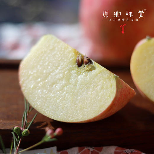 立君生态苹果/满满苹果（基地直发-顺丰包邮） | 4.3±0.2斤，来自山东烟台，生产者：李立君【合作生产，公平贸易】 商品图5