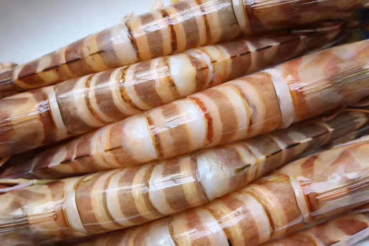 野生斑节虾（东山岛） 商品图2