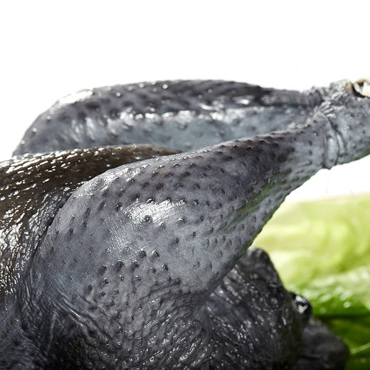 高山黑鸡母鸡 单只约2.2斤 商品图1