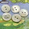 细边塔螺贝壳(整包购买) 商品缩略图3