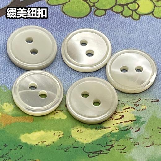 细边塔螺贝壳(整包购买) 商品图3