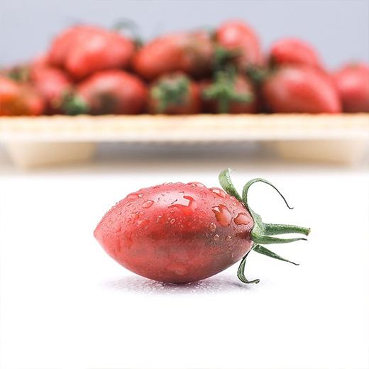 业主福利~【福建双拼小番茄】约3斤，珠珠和紫葡萄小番茄双拼，颗颗爆浆 商品图8