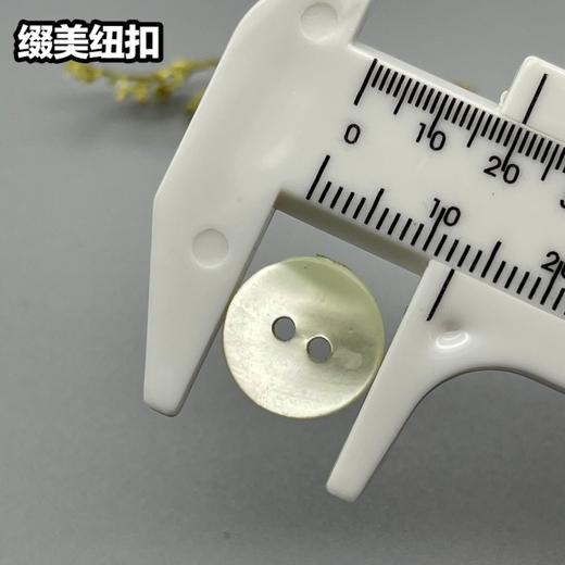 塔螺贝壳(整包购买) 商品图4