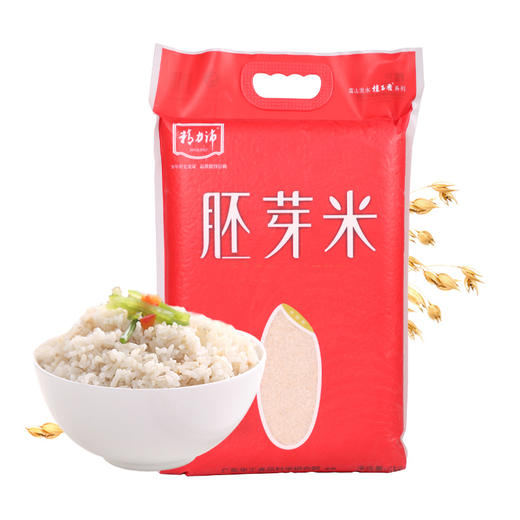 精力沛胚芽米糙米大米胚芽 五谷杂粮5kg粥原料大包装 商品图3