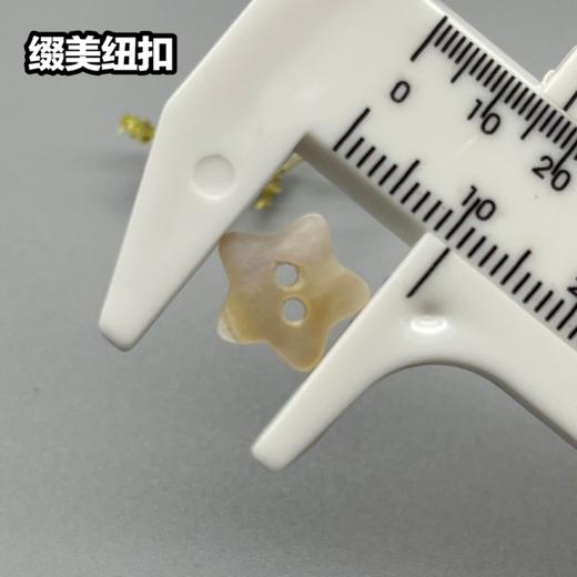 五角星河贝(整包购买) 商品图3