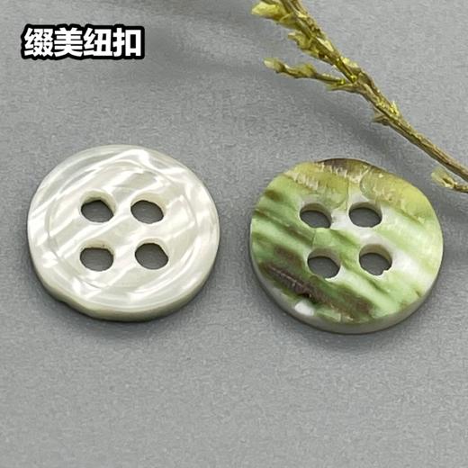 细边塔螺贝壳(整包购买) 商品图3