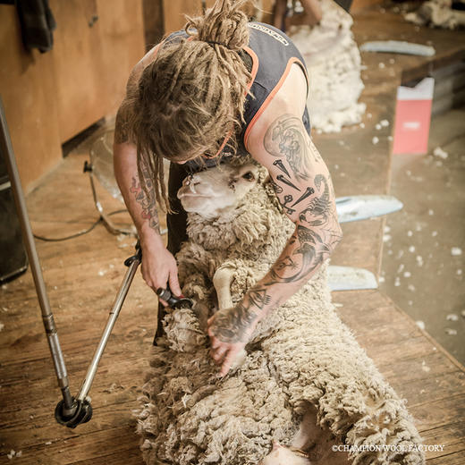 AusGoldEN澳洲制造男爵贡缎冬被 商品图5