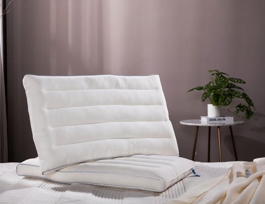 远梦馨柔定型枕 商品图0