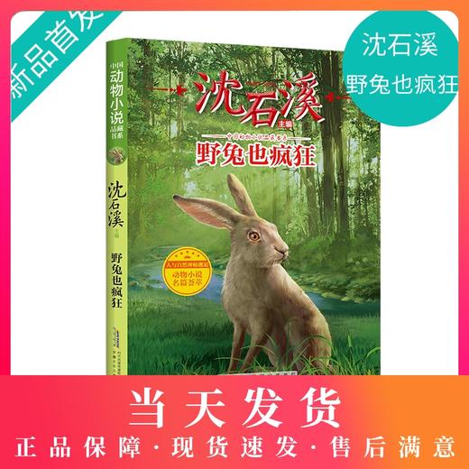 【钟书阁】沈石溪动物小说正版 野兔也疯狂 小学生三四五六年级课外阅读书籍儿童文学读物经典书目 商品图0
