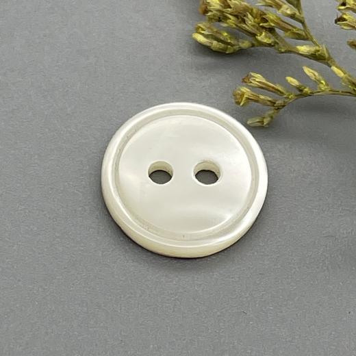 细边塔螺贝壳(整包购买) 商品图1