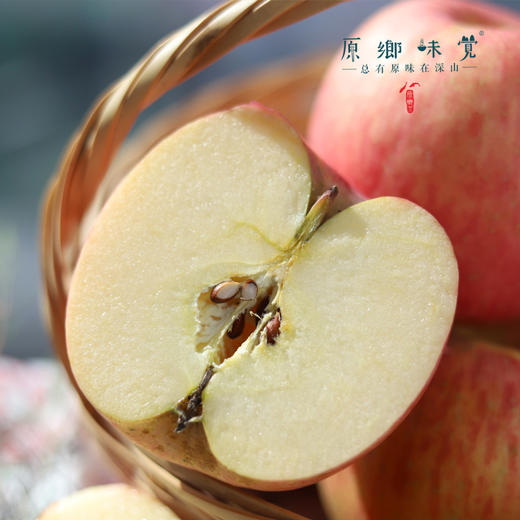 立君生态苹果/满满苹果（基地直发-顺丰包邮） | 4.3±0.2斤，来自山东烟台，生产者：李立君【合作生产，公平贸易】 商品图9