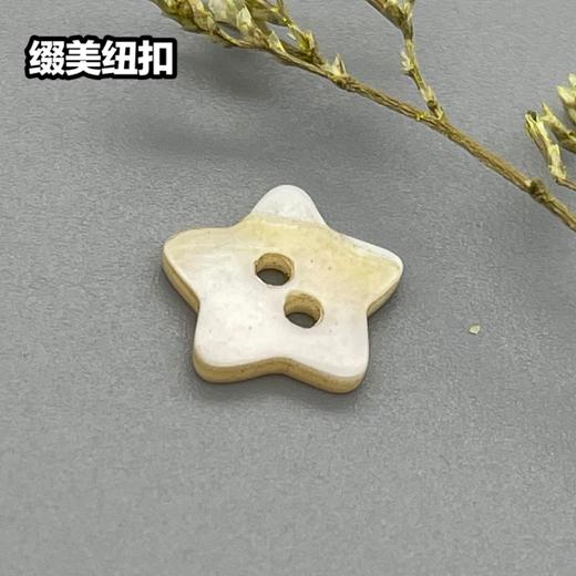 五角星河贝(整包购买) 商品图0