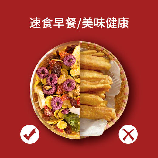 杂粮先生每日水果烘焙麦片600g 商品图5
