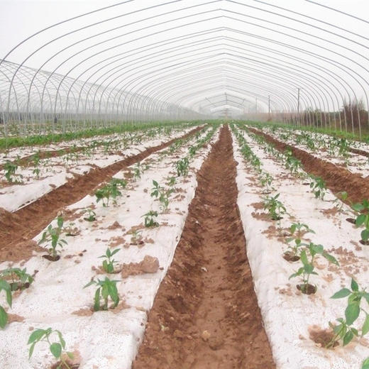 农用加厚透明塑料厚地膜 商品图3