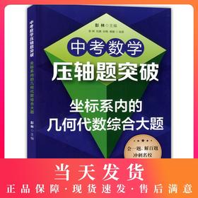 中考数学压轴题突破 坐标系内的几何代数综合大题 会一题解百题冲刺名校荆棘边坦途 初中数学选择填空压轴题专项分类资料讲解练习
