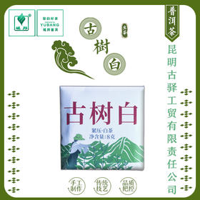 古树白茶薄片（白茶）