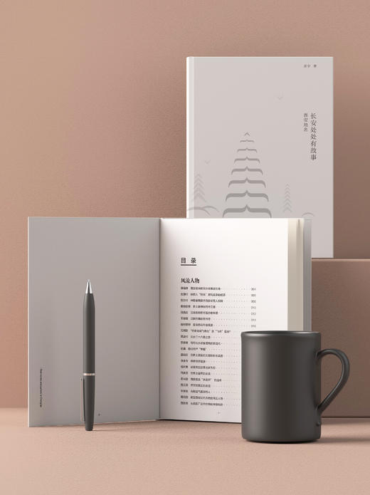 《长安处处有故事·西安地名》 商品图0