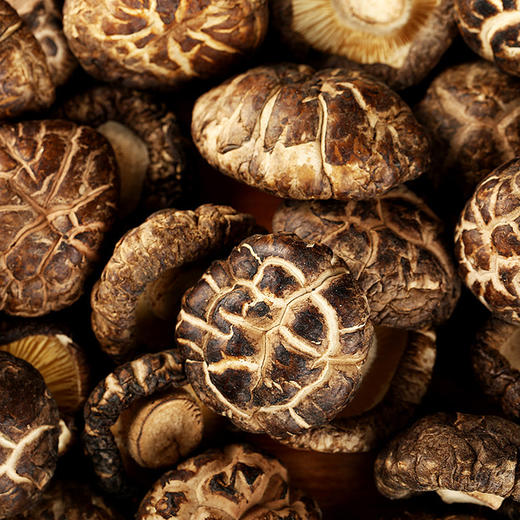 【宜昌助农馆】森源花菇礼包 780g/盒 商品图3