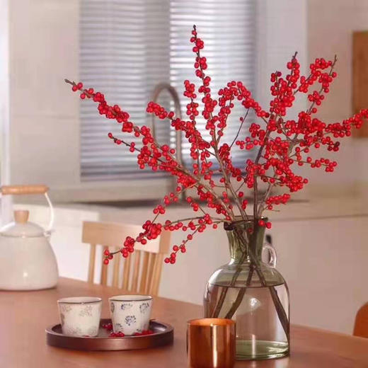 （东莞）进口冬青 商品图1