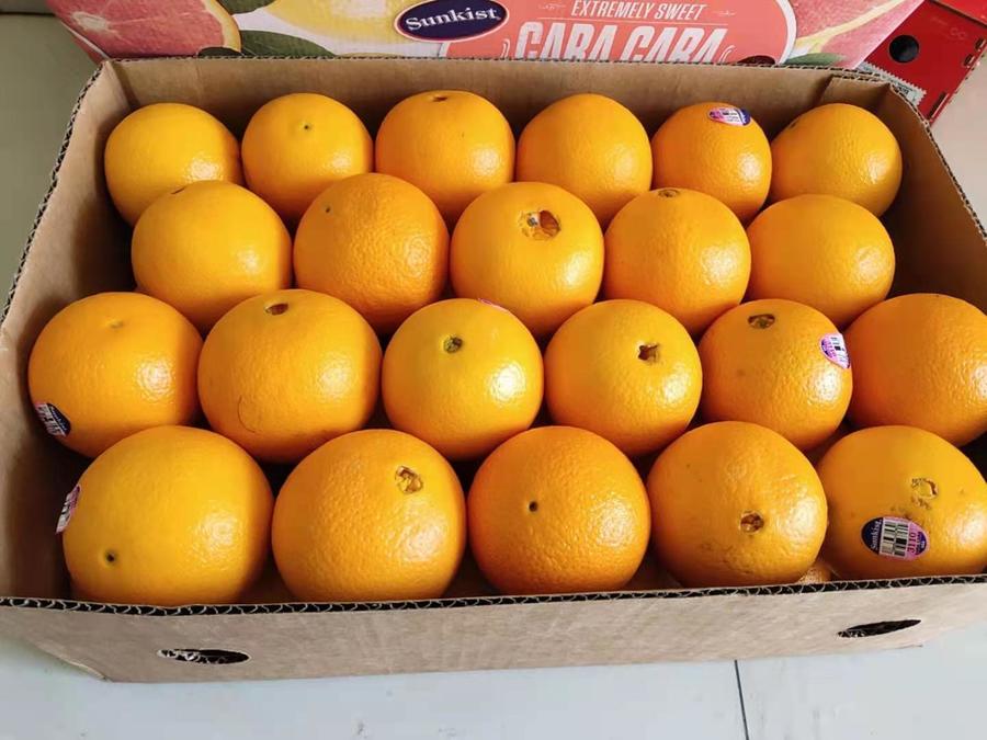 【全国包邮】美国新奇士3110血橙 浓郁的果味及香味!