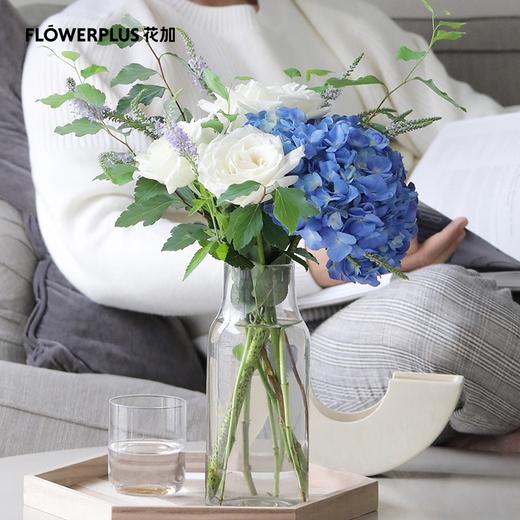 （东莞）111周花 商品图4