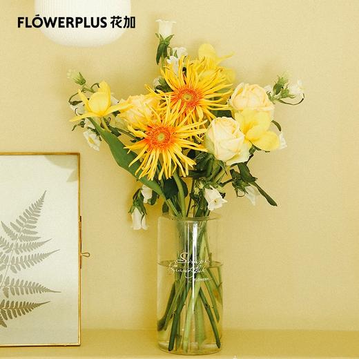 （东莞）111周花 商品图3