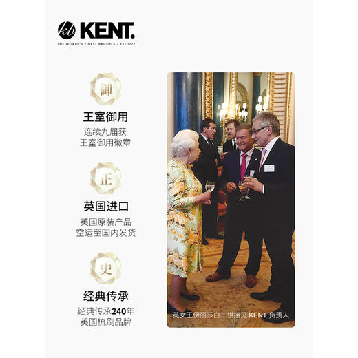KENT肯特英国进口 气垫按摩美发梳子 细齿/粗齿 商品图7