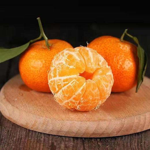 广西砂糖橘 商品图0