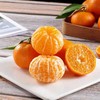 广西砂糖橘 商品缩略图2