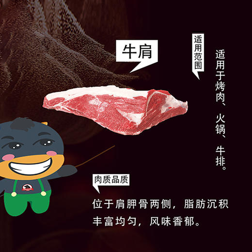 黑牛牛领肉、牛尾骨、牛腩粒等部位肉 ，日本和牛与鲁西黄牛杂交品种 烟台的黑牛基地 品质上等 ⭐️顺丰快递 商品图10