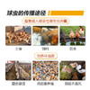 【巨球清】禽用30%磺胺氯吡嗪钠可溶性粉禽药抗球虫药治疗羊.鸡.兔等球虫病250g/袋 商品缩略图3
